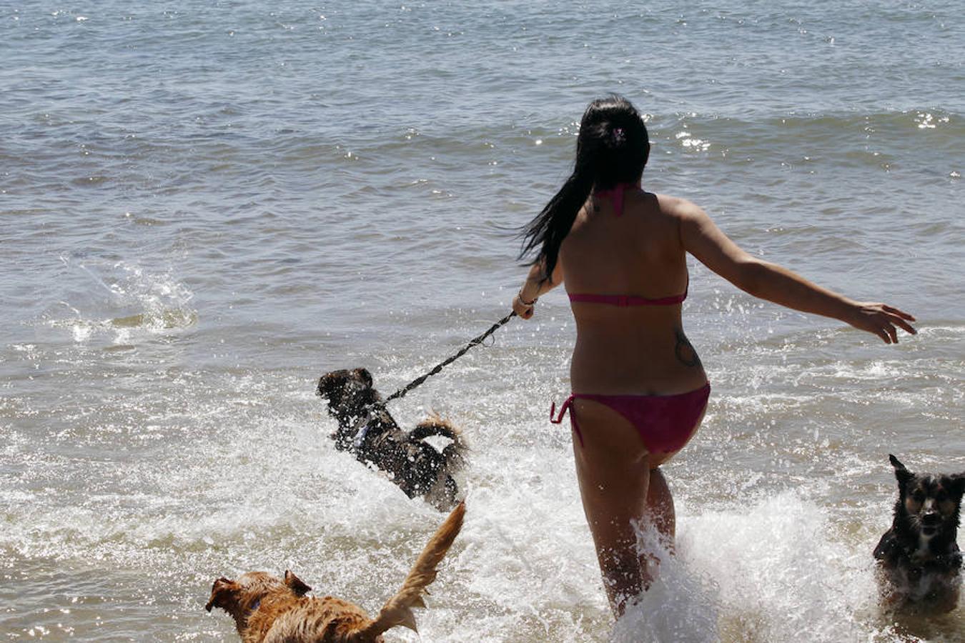 Fotos de la playa de perros en Pinedo