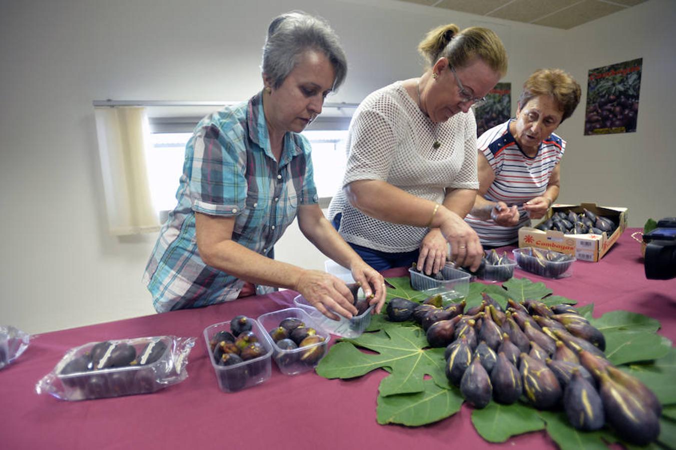 Más de 600 productores de granada solicitan la denominación de origen