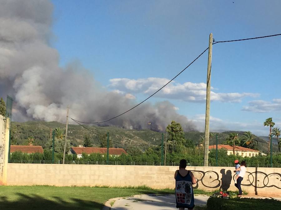 Fotos del incendio de Carcaixent (16/06/2016)