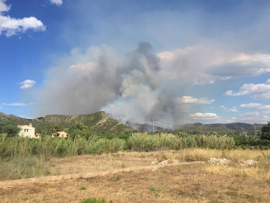 Fotos del incendio de Carcaixent (16/06/2016)