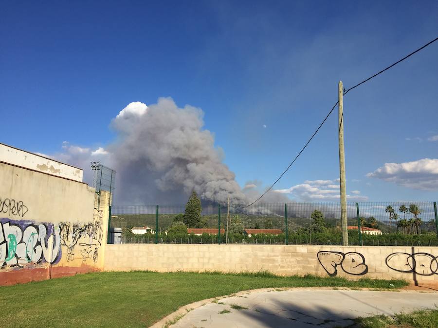 Fotos del incendio de Carcaixent (16/06/2016)