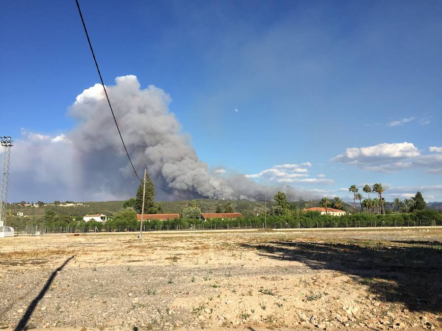 Fotos del incendio de Carcaixent (16/06/2016)