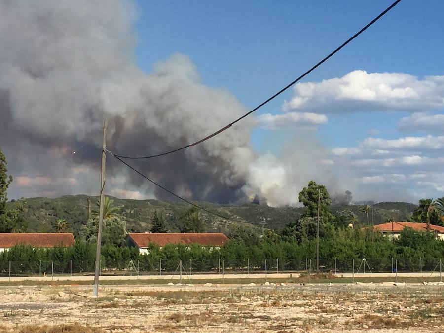 Fotos del incendio de Carcaixent (16/06/2016)