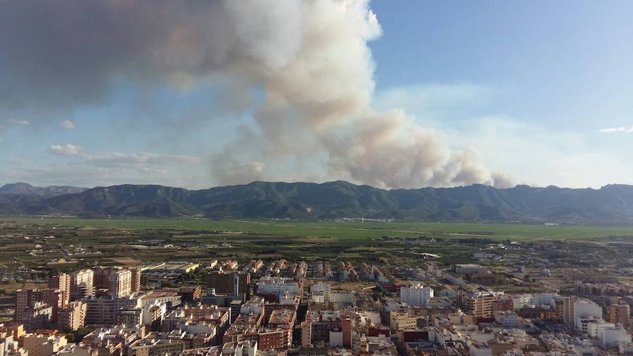 Fotos del incendio de Carcaixent (16/06/2016)