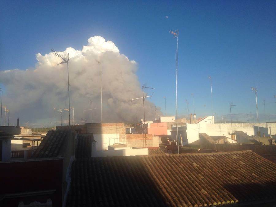 Fotos del incendio de Carcaixent (16/06/2016)