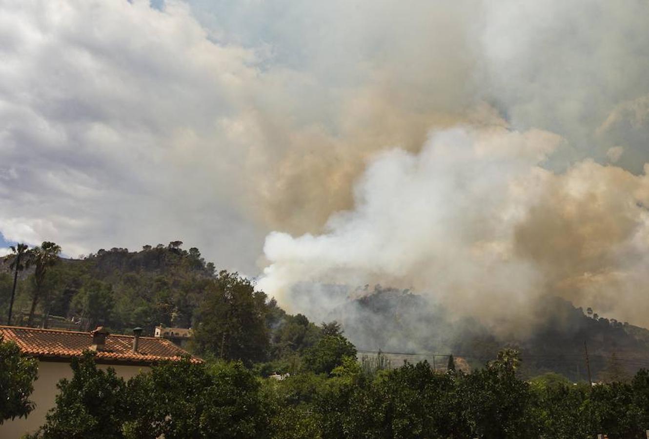 Fotos del incendio de Carcaixent (17-06-2016) II