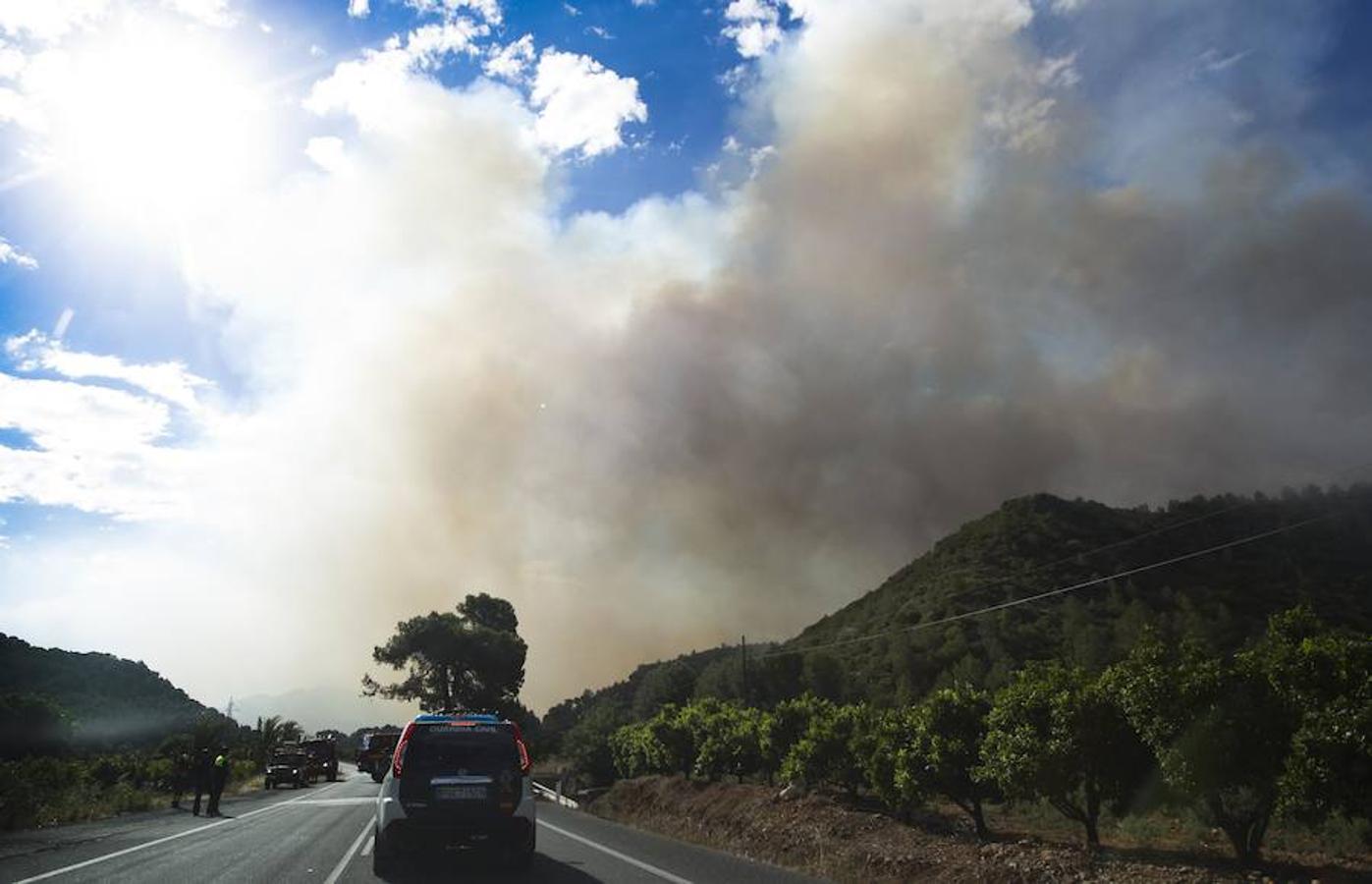 Fotos del incendio de Carcaixent (17-06-2016) II