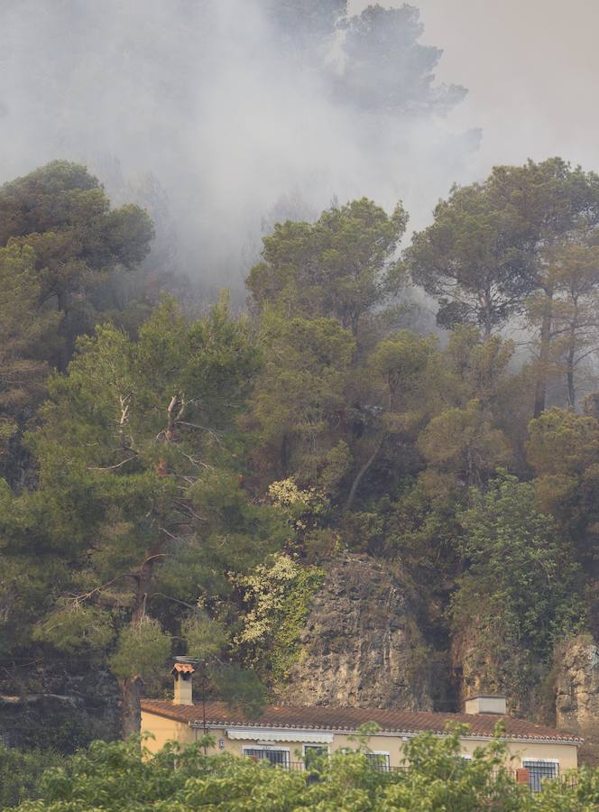 Fotos del incendio de Carcaixent (17-06-2016) II