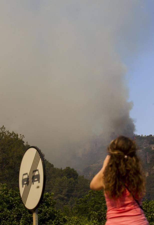 Fotos del incendio de Carcaixent (17-06-2016) II