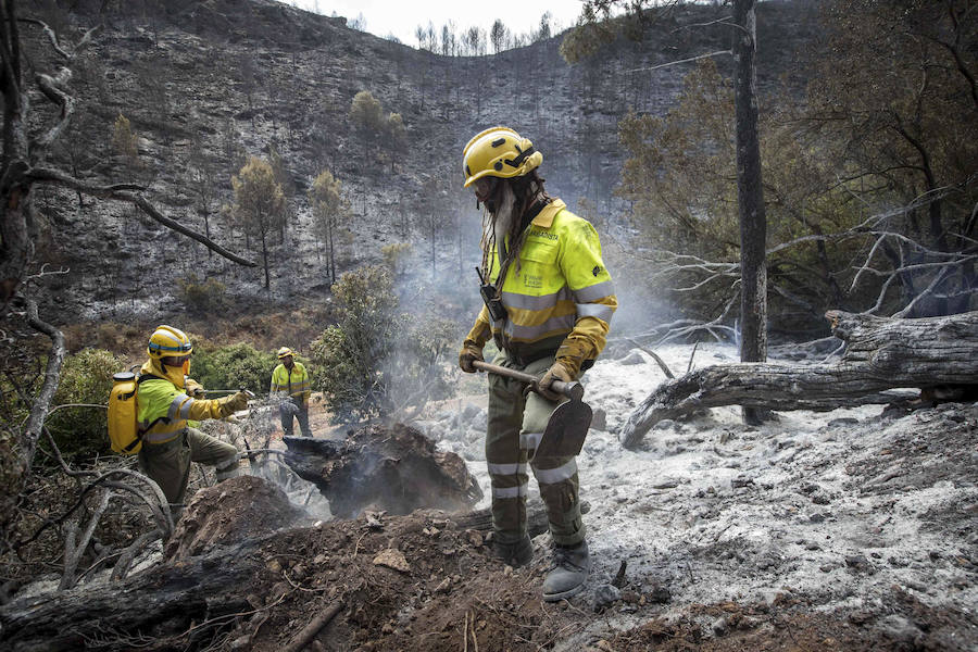 Fotos del incendio de Carcaixent (17-06-2016) II