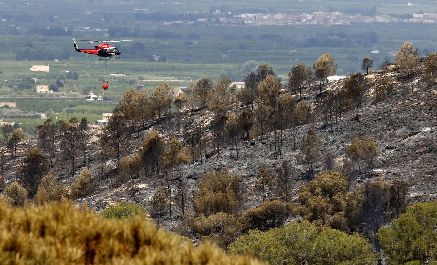 Fotos del incendio de Carcaixent (sábado 18 de junio)