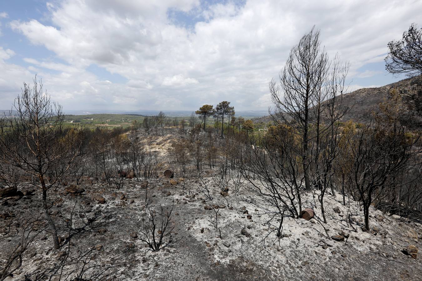 Fotos del incendio de Carcaixent (sábado 18 de junio)