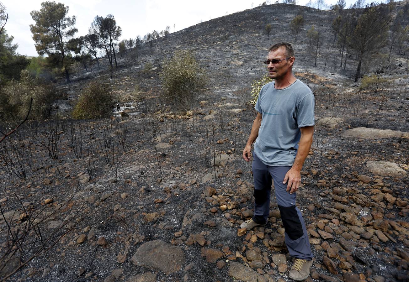 Fotos del incendio de Carcaixent (sábado 18 de junio)