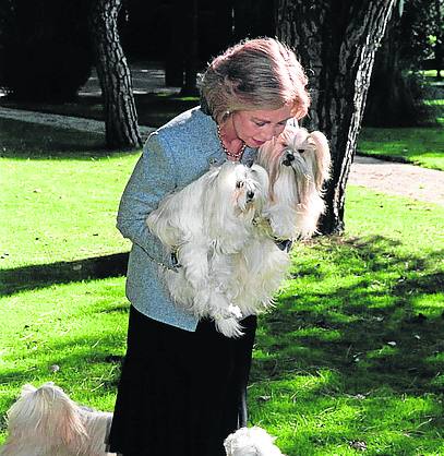 Fotos de las mascotas de palacio