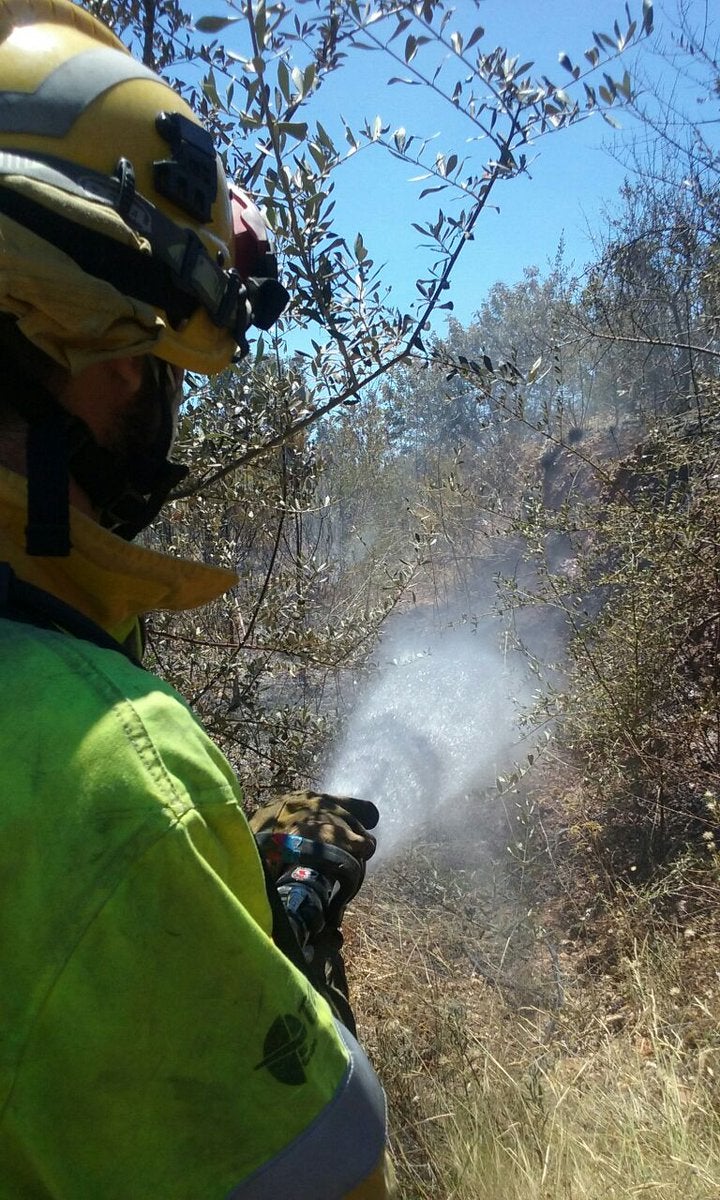 Incendio forestal en Callosa d&#039;en Sarrià