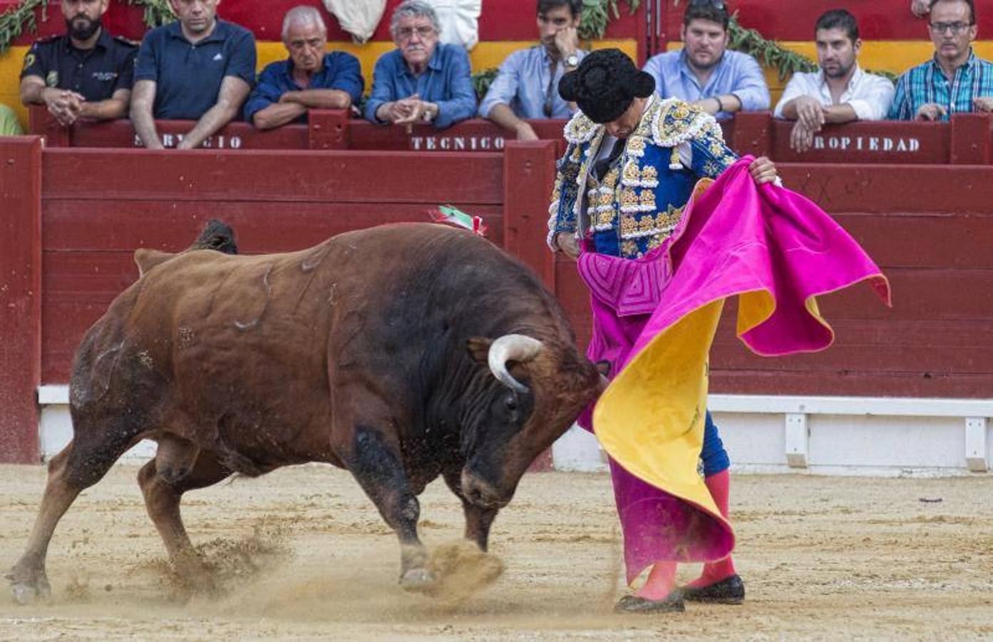 José Tomás deslumbra a Alicante