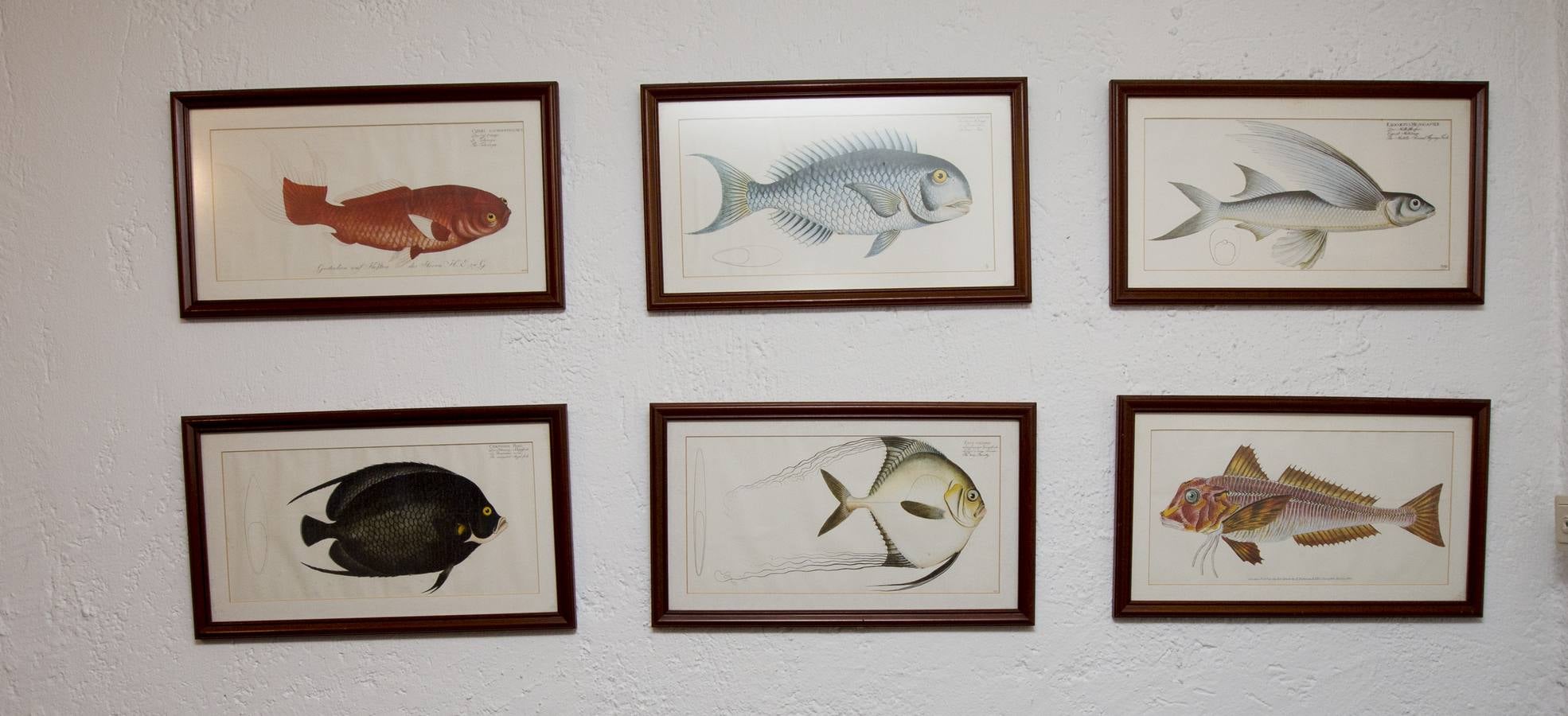 Fotos de la casa de Eduardo Criado