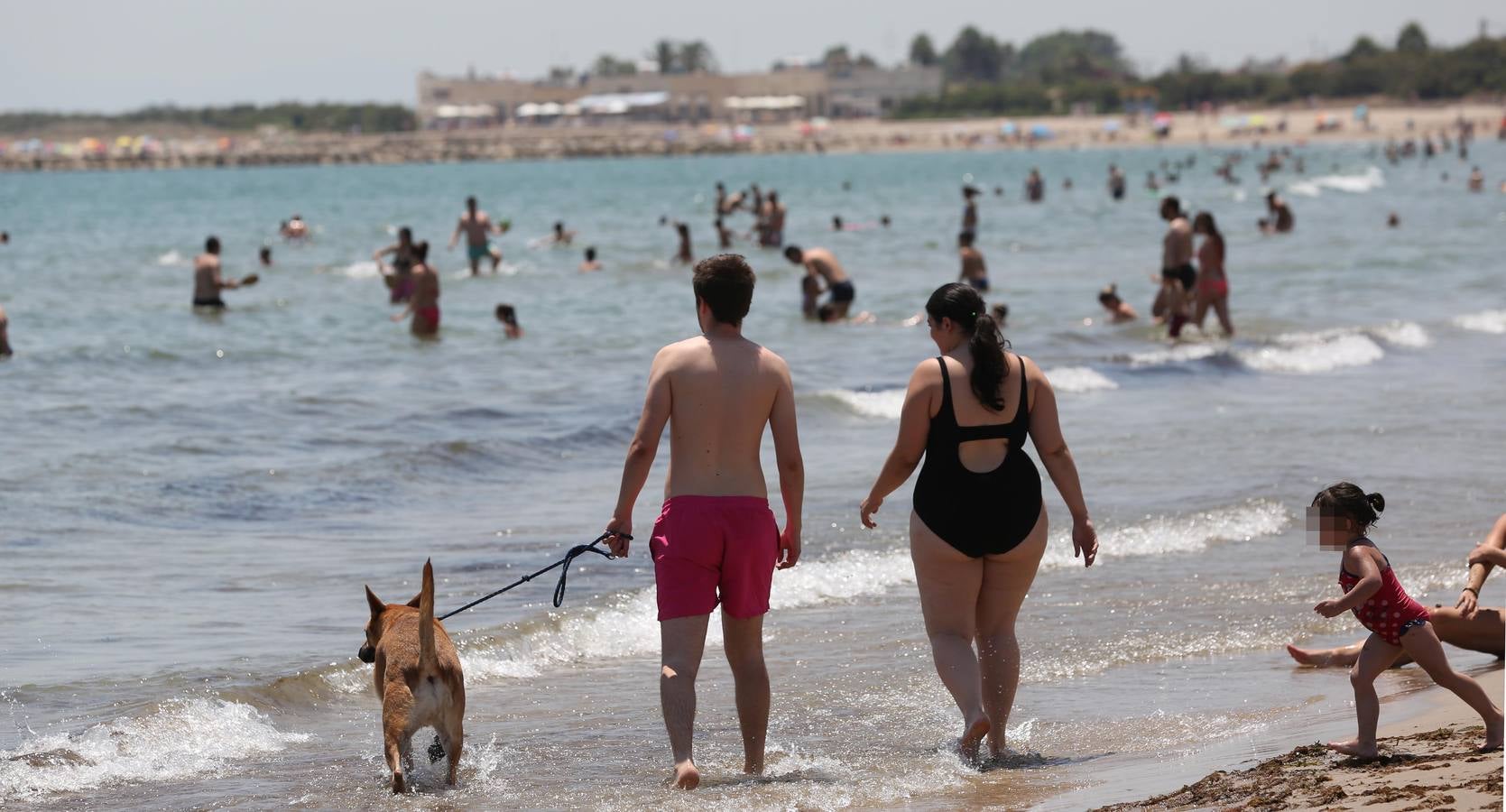 Fotos de la playa canina de Pinedo: perros autorizados