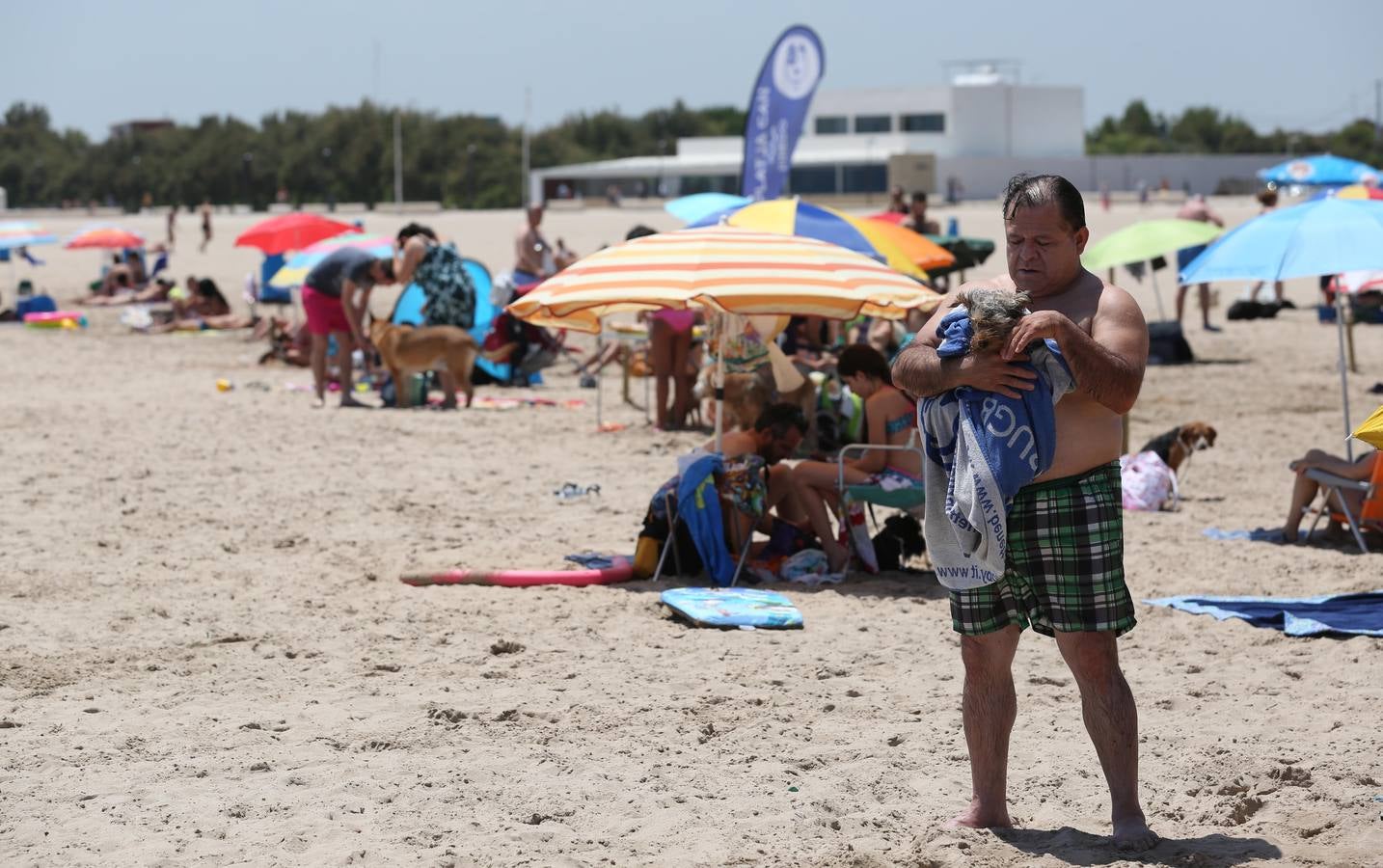 Fotos de la playa canina de Pinedo: perros autorizados