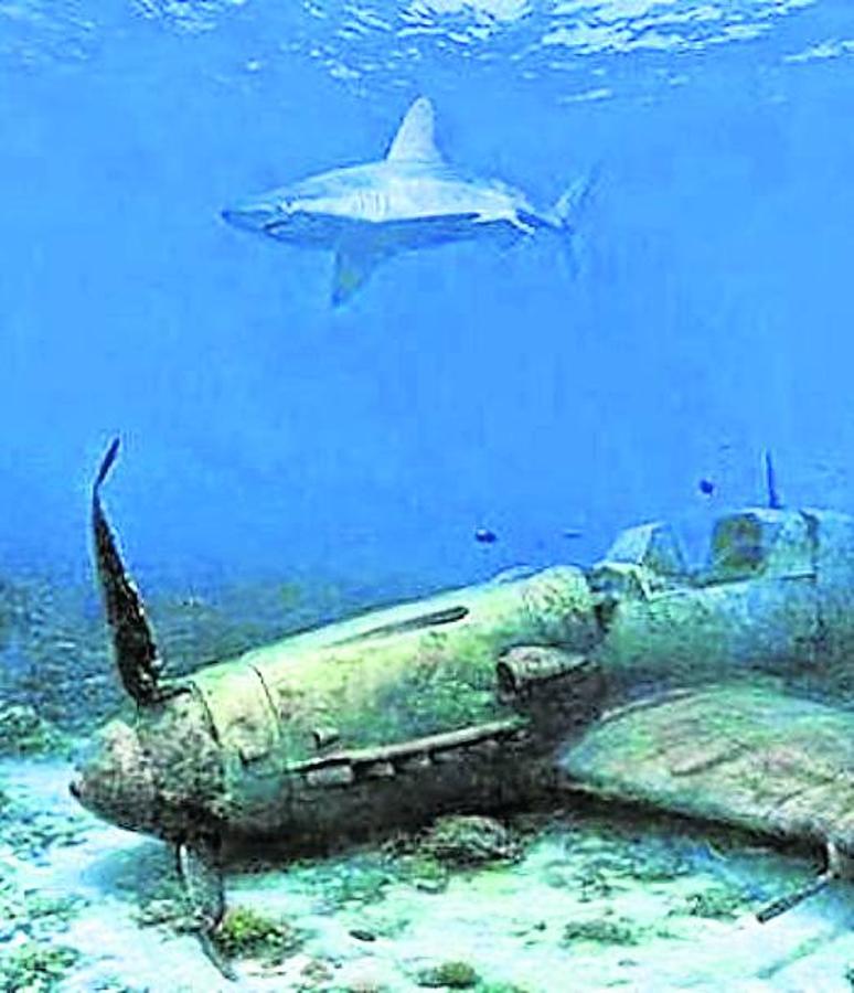 Bikini, el paraíso irradiado