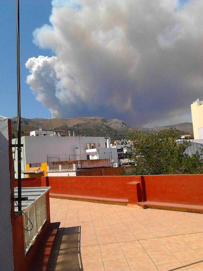 Incendio declarado en Artana