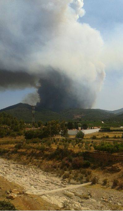 Incendio declarado en Artana