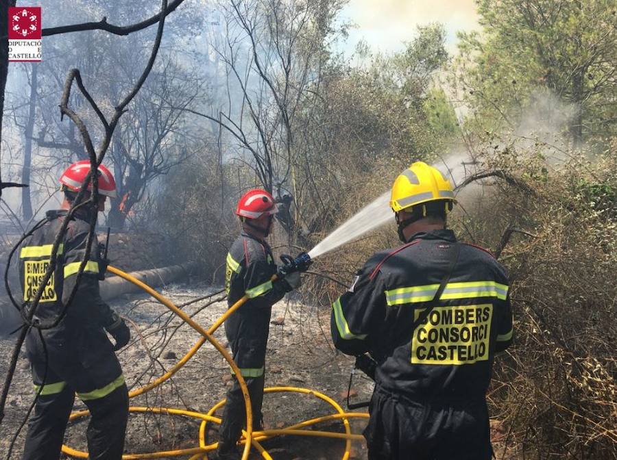 Incendio declarado en Artana