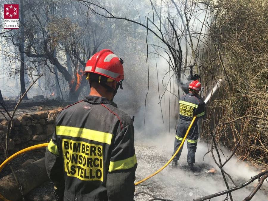 Incendio declarado en Artana