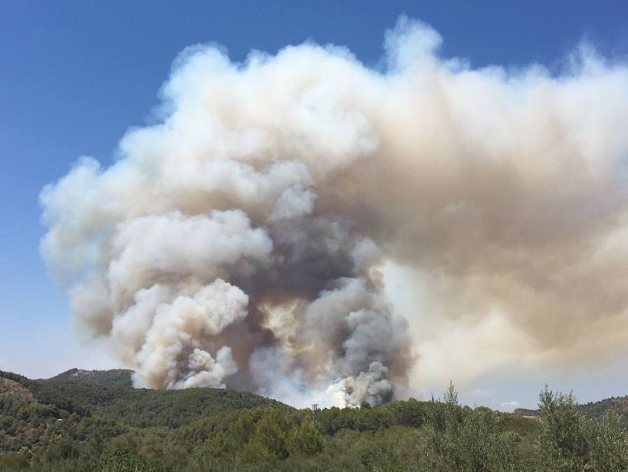 Incendio declarado en Artana