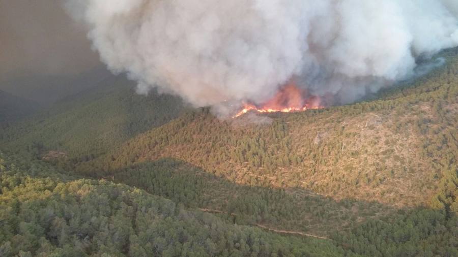 Incendio declarado en Artana