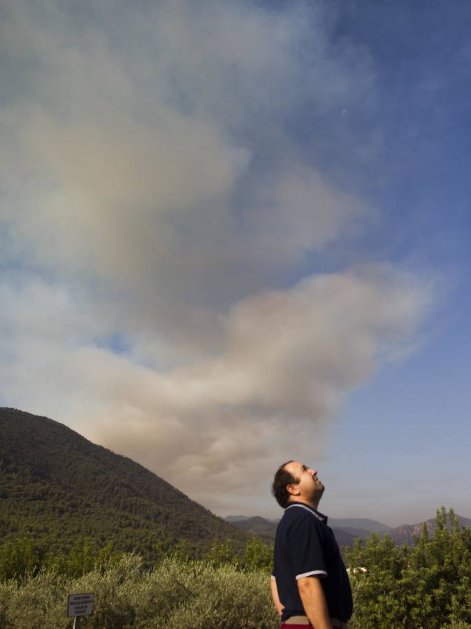 Incendio declarado en Artana