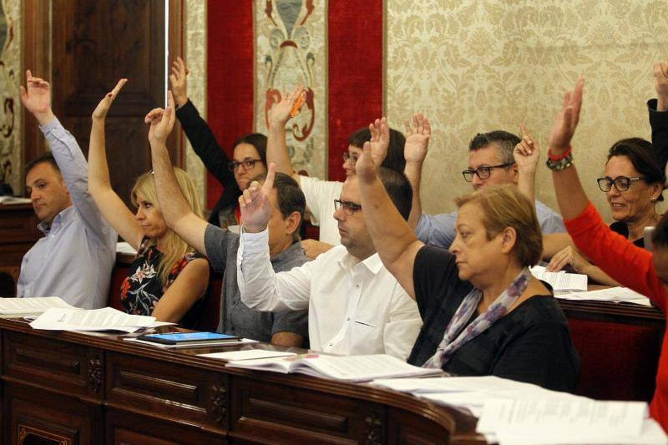 Pleno del Ayuntamiento de Alicante