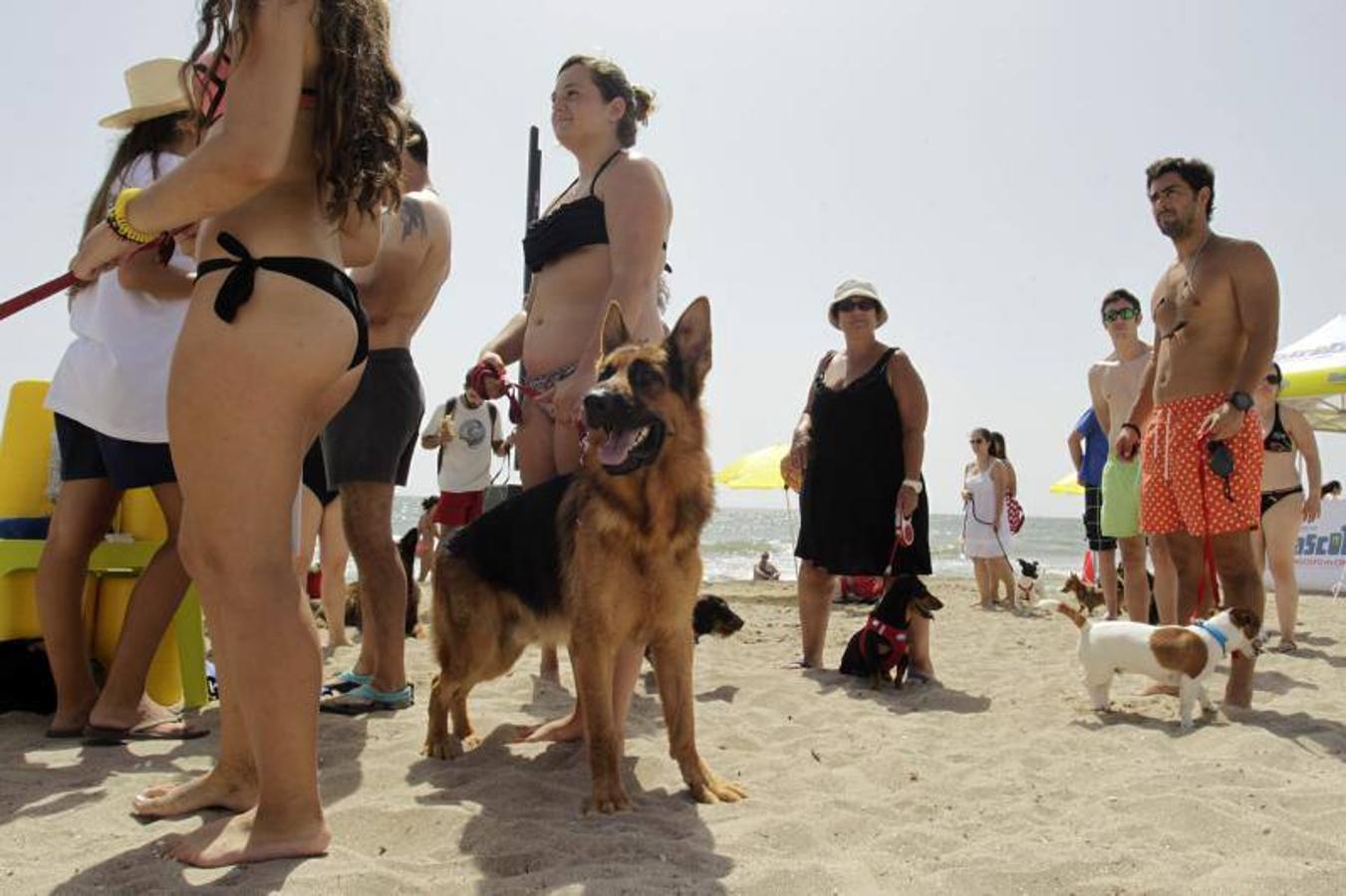 Una playa de cine