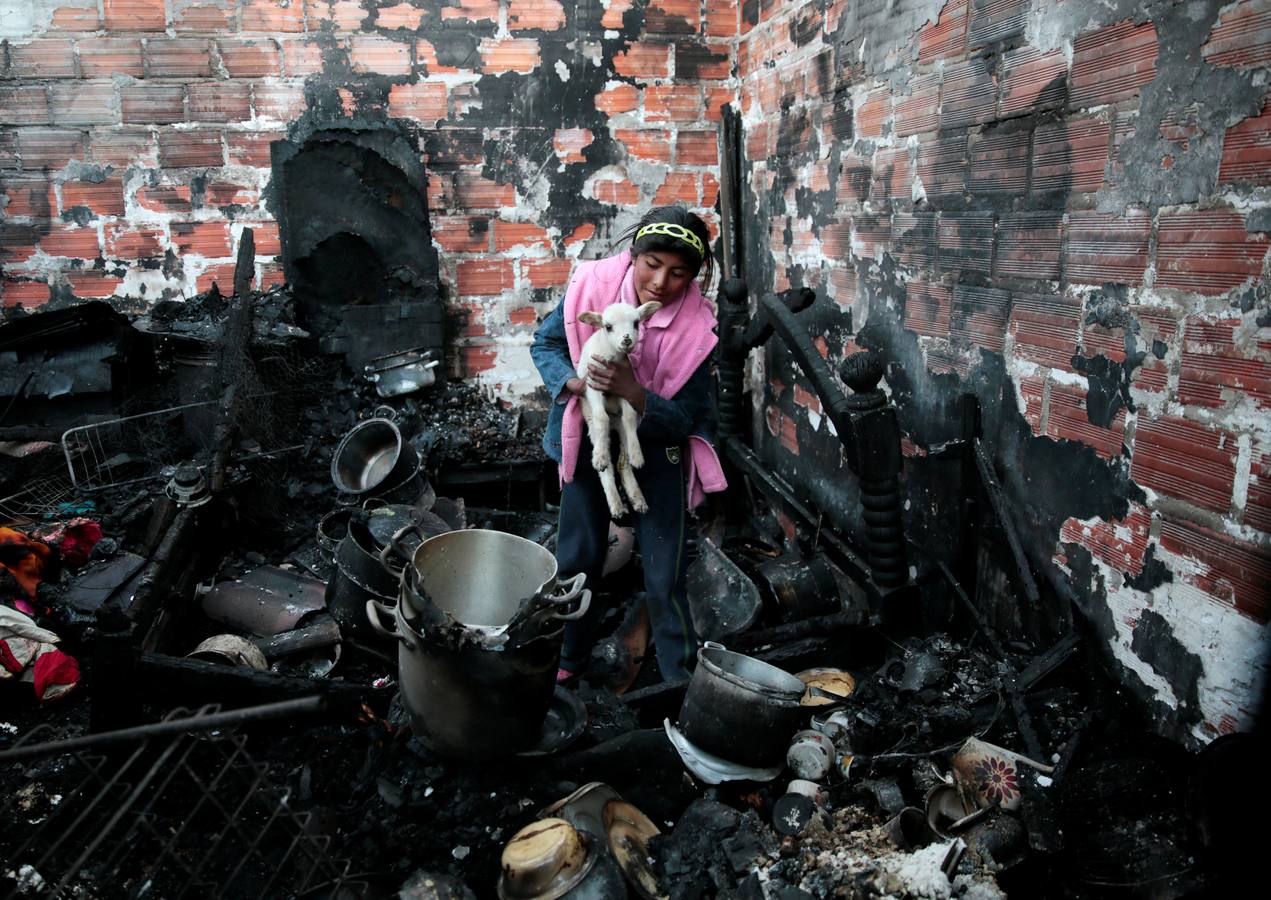 Una vecina del barrio de Júpiter se lleva una cabra después de que un grupo de enmascarados destruyera su casa en El Alto (Bolivia). / REUTERS/David Mercado