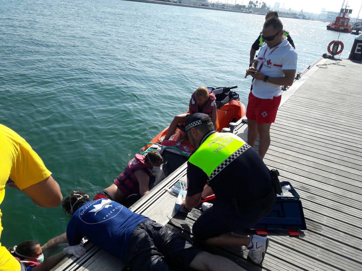 Fotos del delfín varado en la playa del Cabanyal