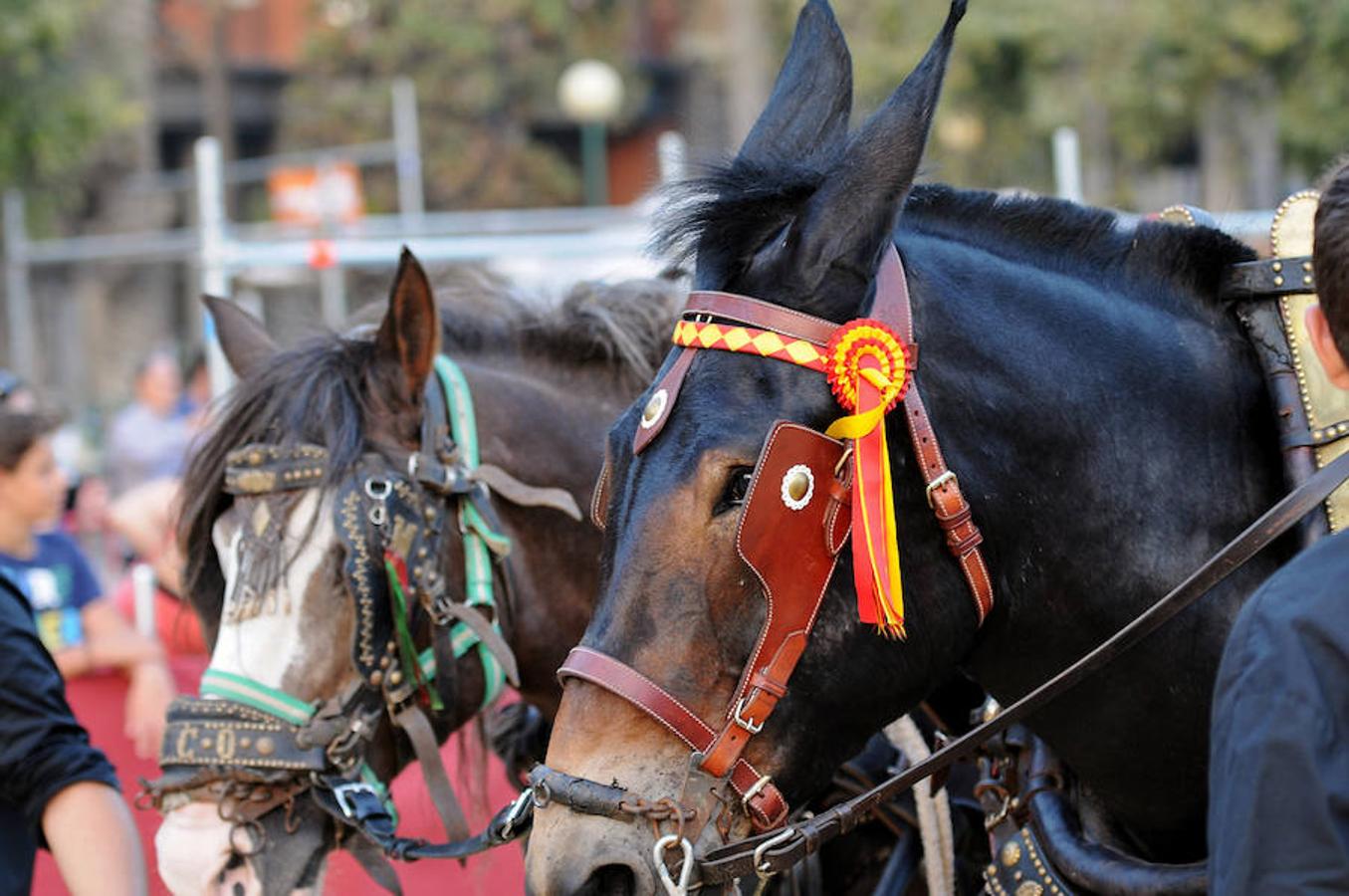 Fotos de la Batalla de Flores 2016 de la Feria de Julio de Valencia