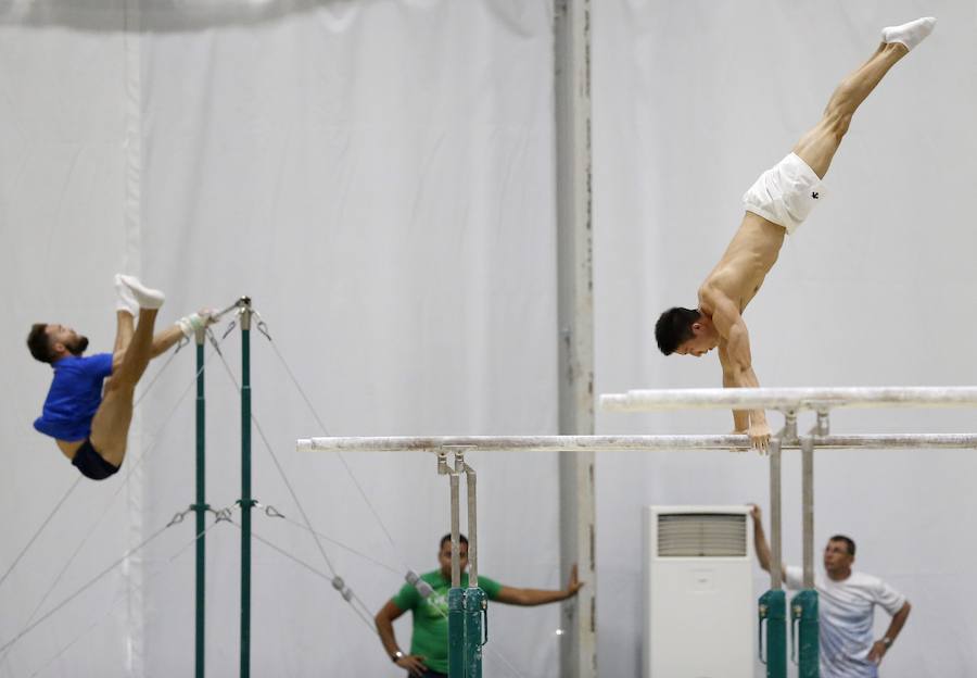 Los deportistas se preparan para Río 2016