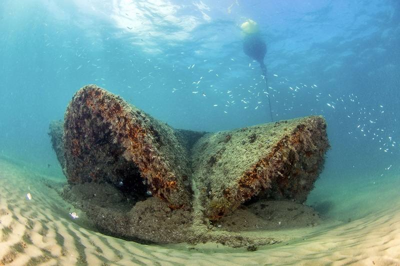 Fotos de bucear entre doradas y pulpos en la Malvarrosa