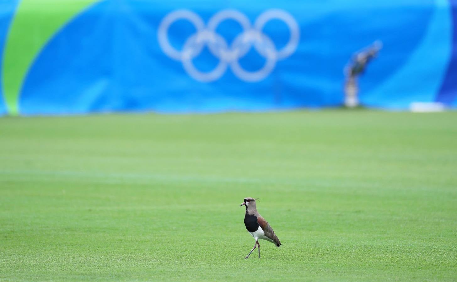 Fotos de la víspera de la inauguración de los Juegos Olímpicos de Río 2016