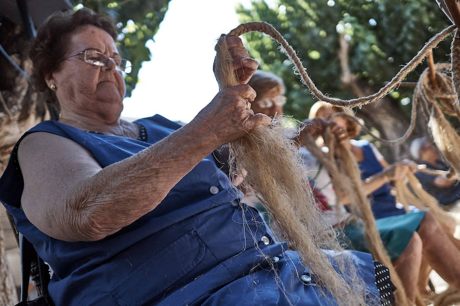 Jornada dedicada a la cultura del cáñamo