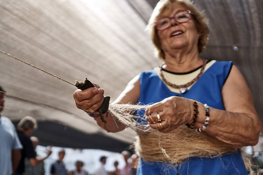Jornada dedicada a la cultura del cáñamo