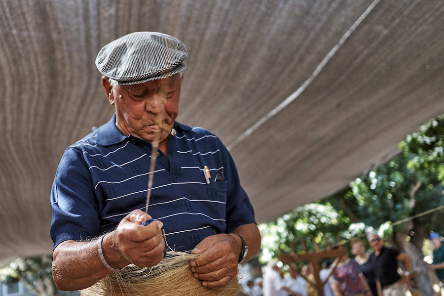 Jornada dedicada a la cultura del cáñamo