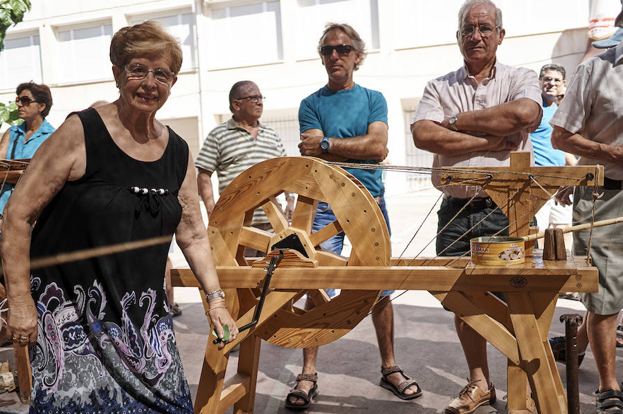 Jornada dedicada a la cultura del cáñamo