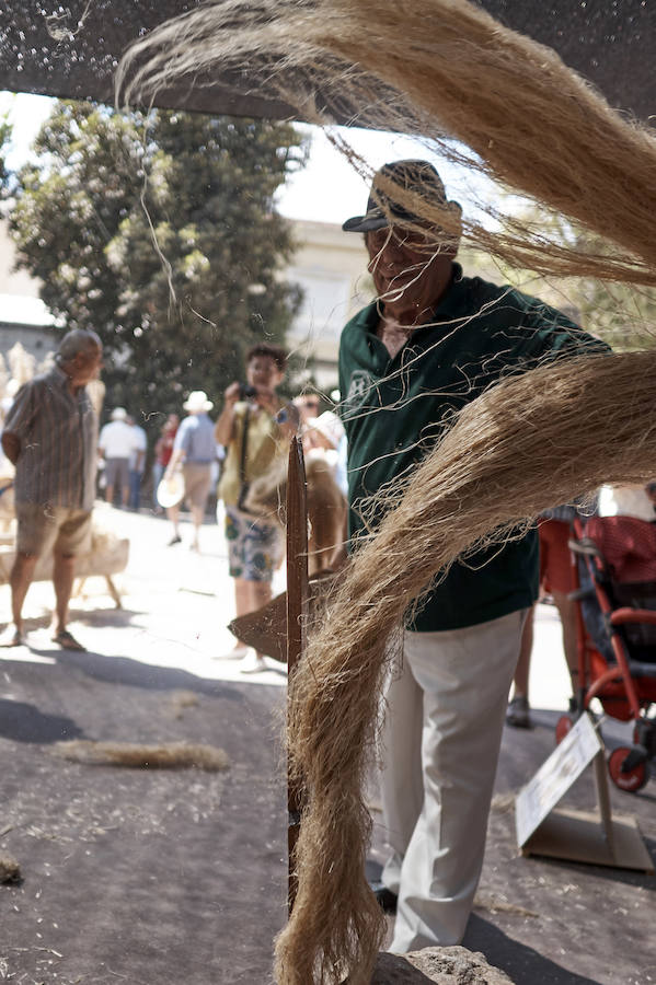 Jornada dedicada a la cultura del cáñamo