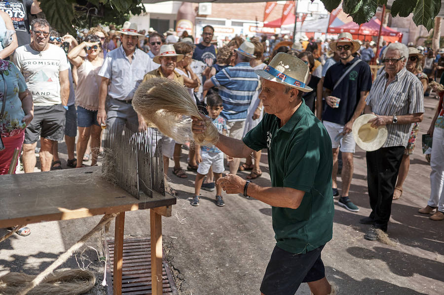 Jornada dedicada a la cultura del cáñamo