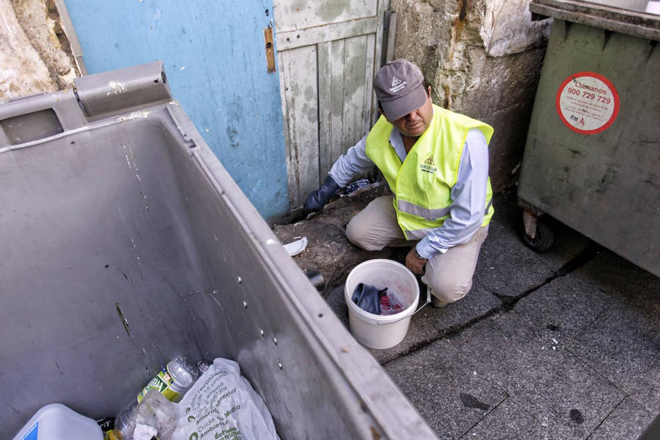 Limpieza y comprobación de los focos de ratas en el casco antiguo de Alicante