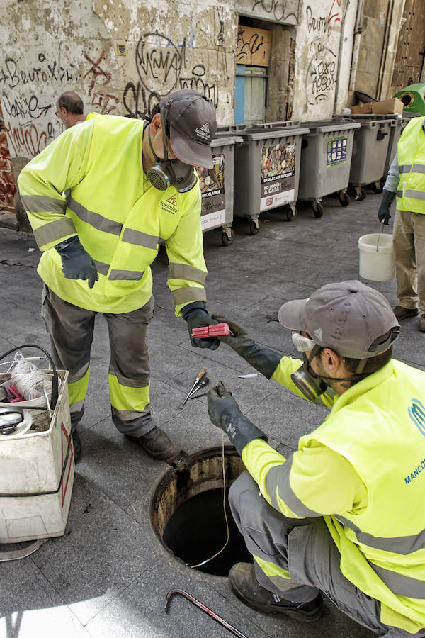 Limpieza y comprobación de los focos de ratas en el casco antiguo de Alicante