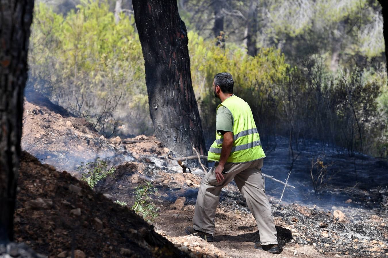 Fotos del incendio de la Granadella, en Xàbia y Benitatxell