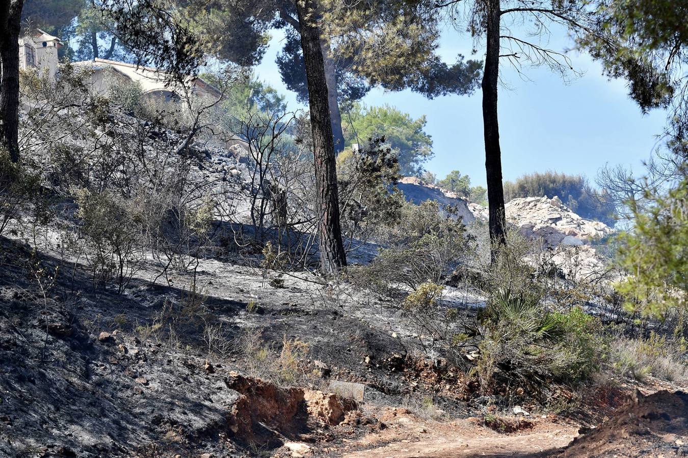 Fotos del incendio de la Granadella, en Xàbia y Benitatxell