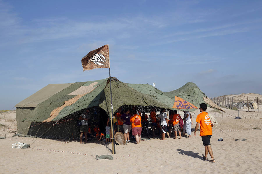 Fotos del nacimiento de las tortugas boba en Valencia